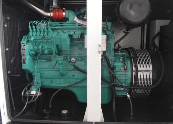 220kva witte Kleuren Diesel Reservegenerator/Geluiddichte Stille Diesel Generator