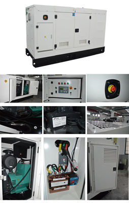 6.25 KVA stille generator met Delixi circuit breaker en 8 uur looptijd bij volle belasting voor Whisper Quiet Power Supply